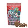 Magic Mushroom Chocolates