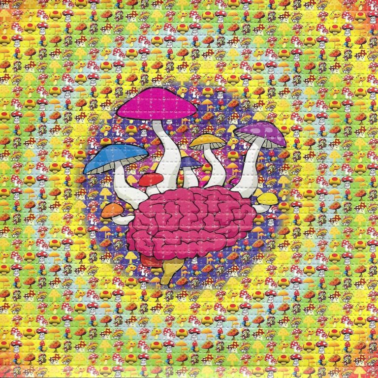 LSD-25 Tabs Mushroom Brain LSD-25 Tabs Mushroom Brain