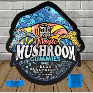 Blue Raspberry Magic Gummies