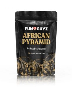 African Pyramid Magic Mushrooms