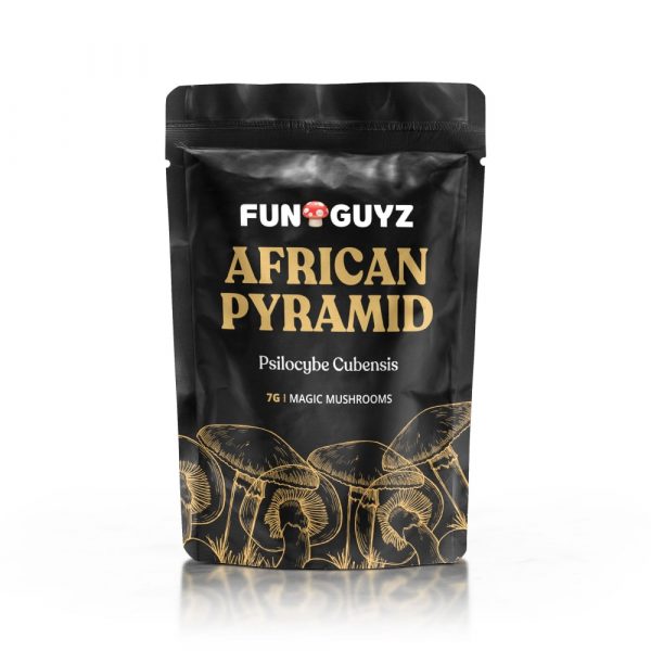 buy-african-pyramid-magic-mushrooms-funguyz-in-canada-1-600x600 (2)