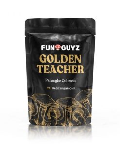 Buy Golden Teacher mushrooms