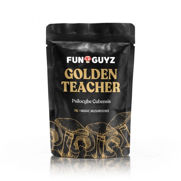 Buy Golden Teacher mushrooms Buy Golden Teacher mushrooms
