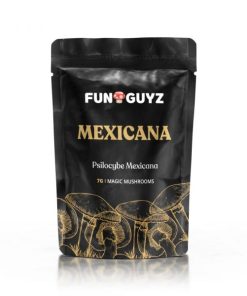 Buy Mexicana Magic Mushrooms