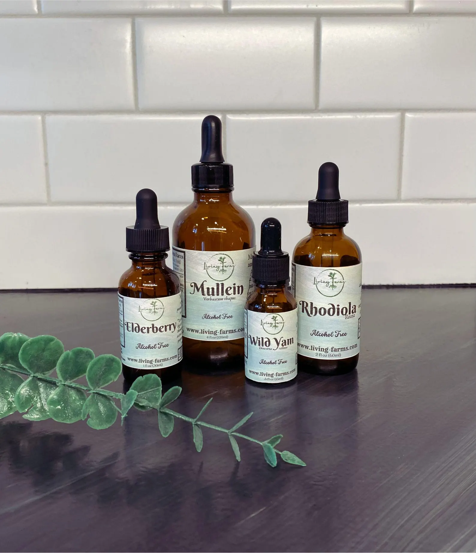 Lions Mane Alcohol-Free Tincture